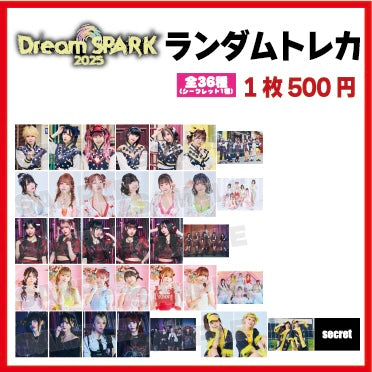 Dream SPARK ランダムトレカ
